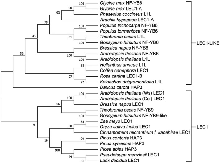 FIGURE 1