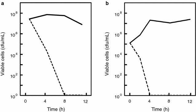 Fig. 4