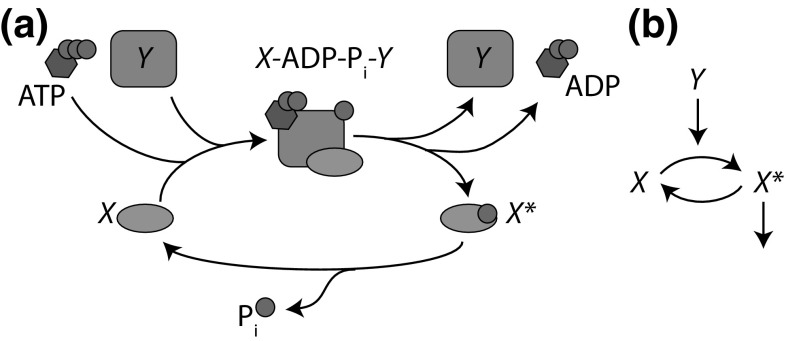 Fig. 14