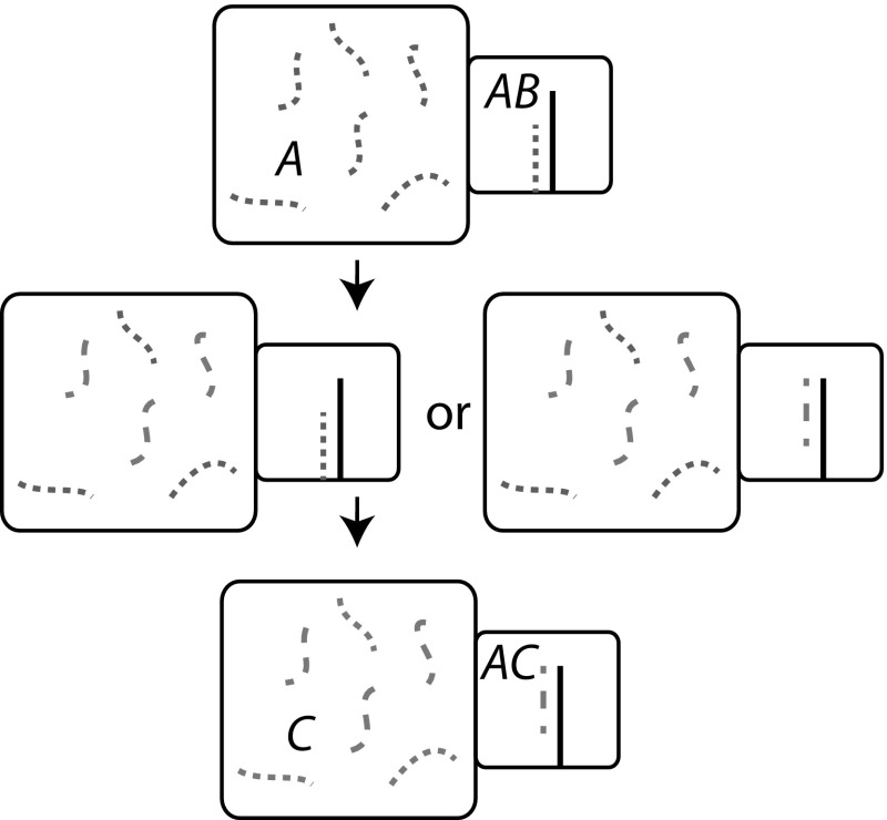 Fig. 11