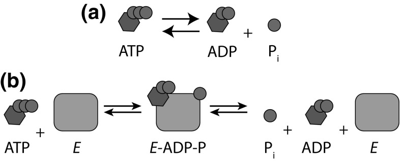 Fig. 12