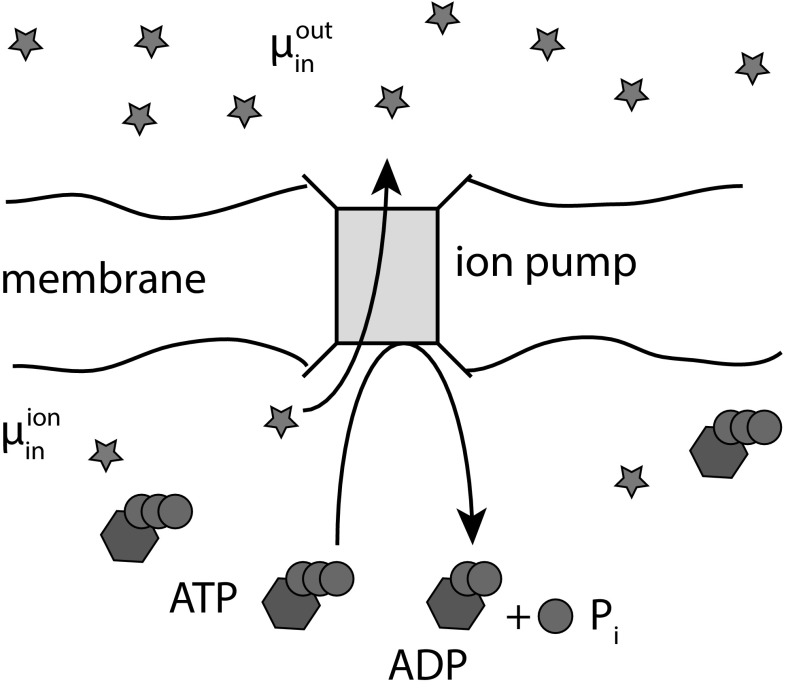 Fig. 13