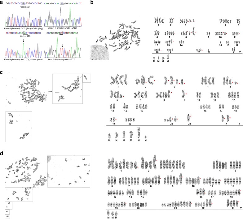 Fig. 3