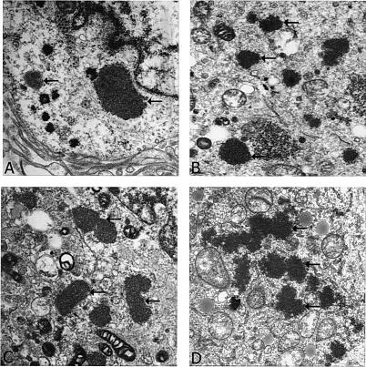 FIG. 6.