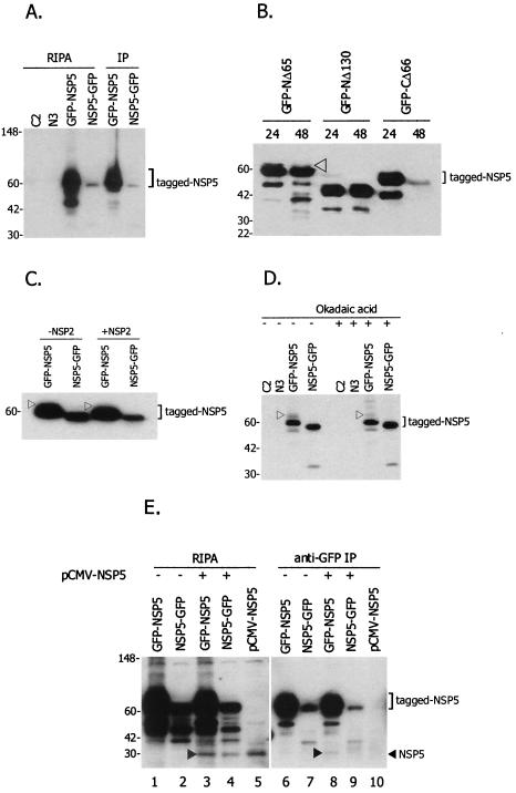 FIG. 7.