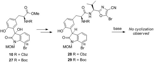 Scheme 5