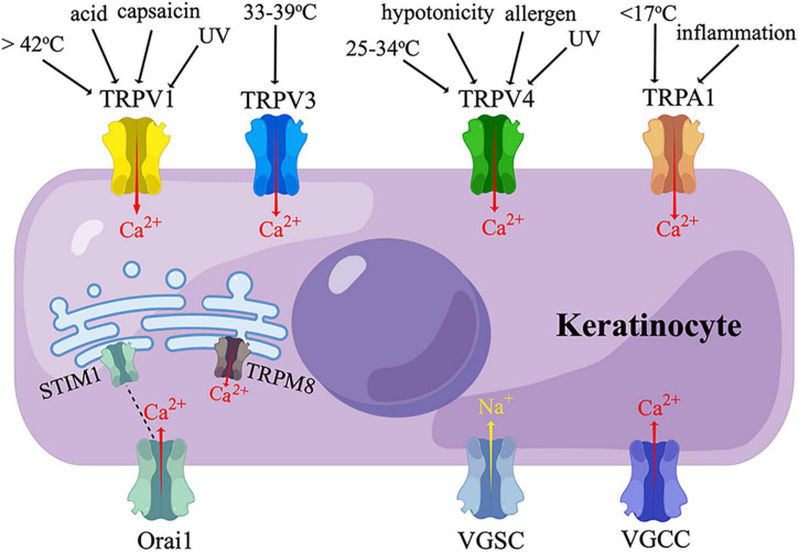 FIGURE 2