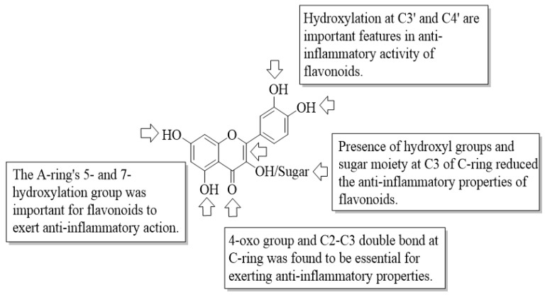 Figure 29