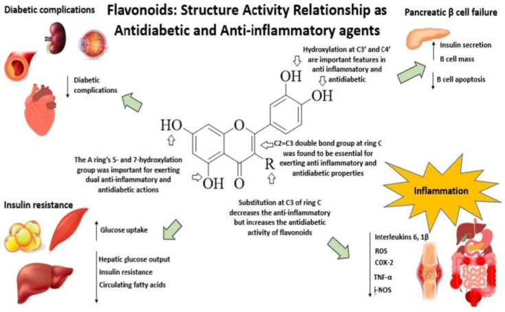 Figure 31