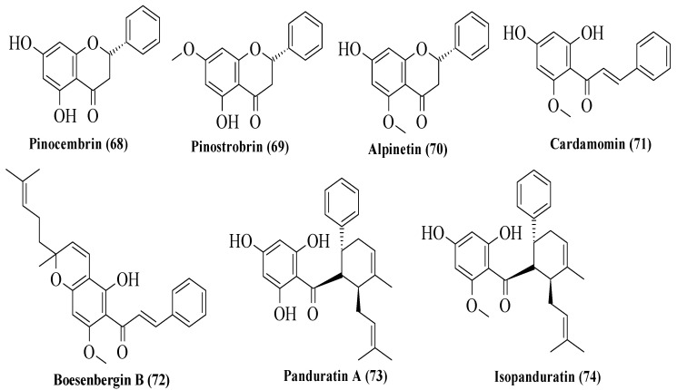 Figure 20