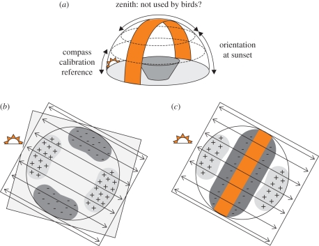 Figure 2.