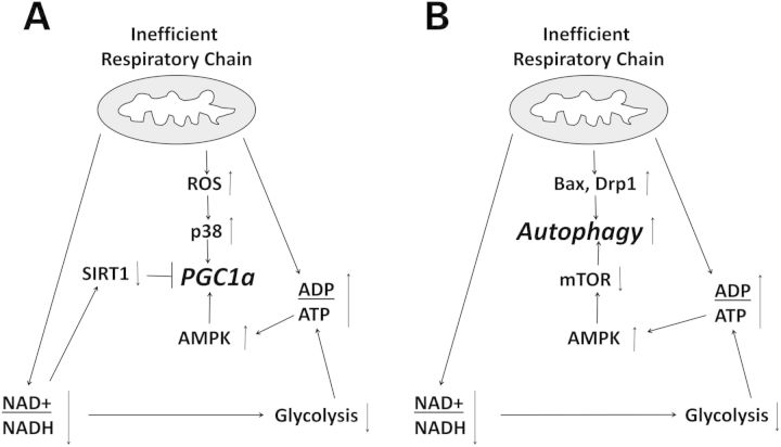 Figure 10.