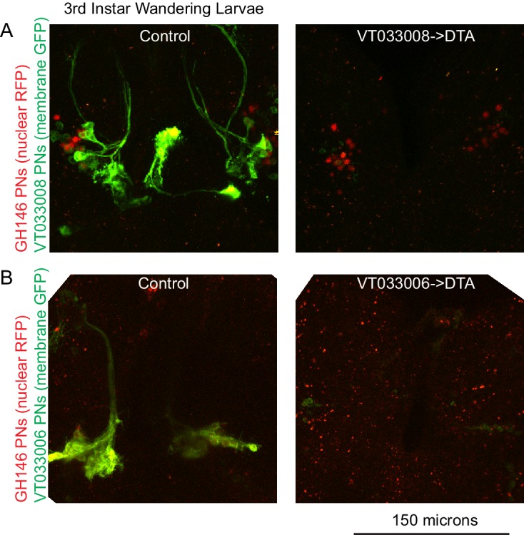 Figure 5—figure supplement 1.