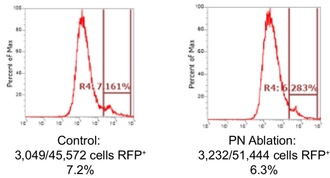 Figure 5—figure supplement 2.