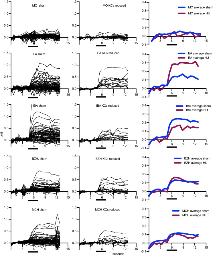 Figure 7—figure supplement 1.