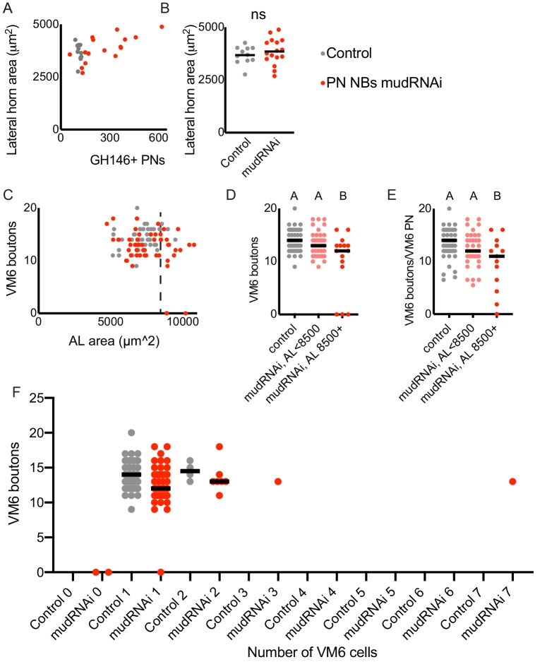 Figure 4—figure supplement 1.