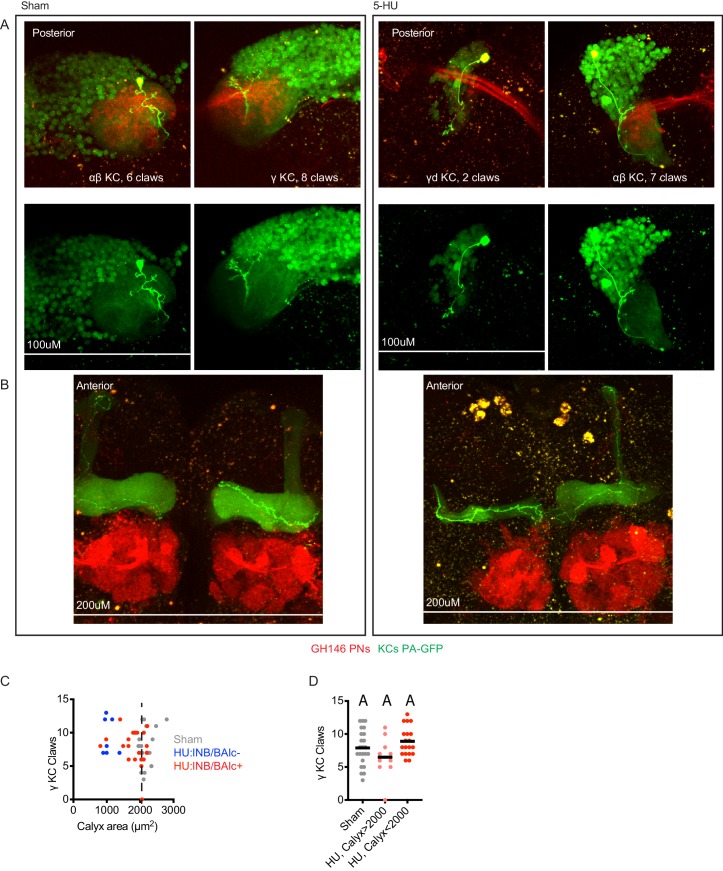 Figure 2—figure supplement 3.