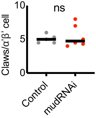 Figure 3—figure supplement 1.