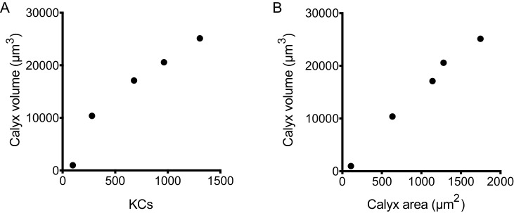 Figure 1—figure supplement 1.