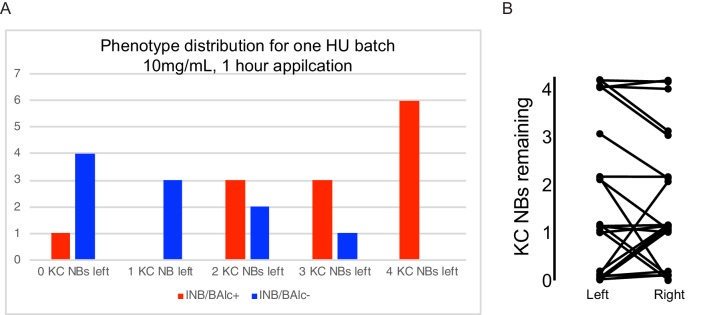 Figure 2—figure supplement 1.