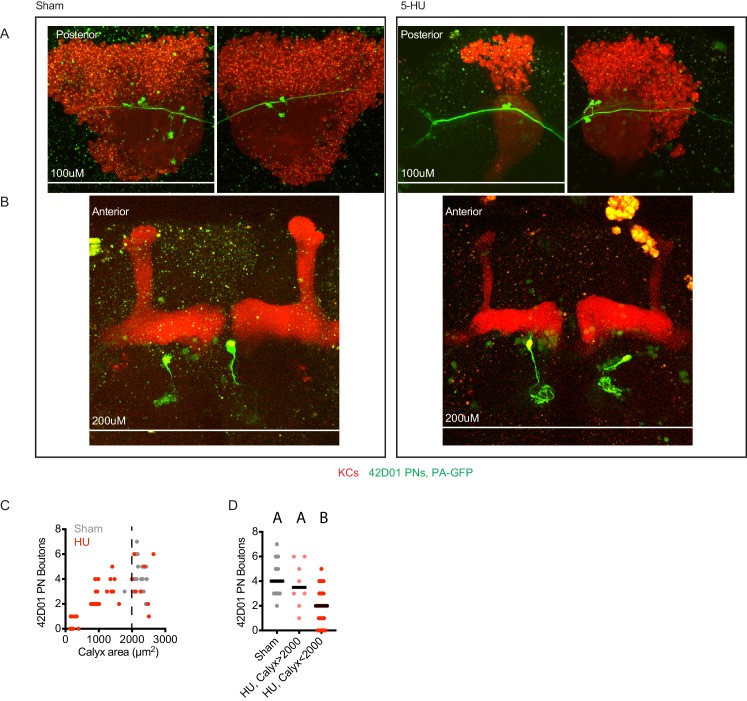 Figure 2—figure supplement 2.