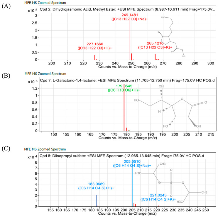 Figure 6