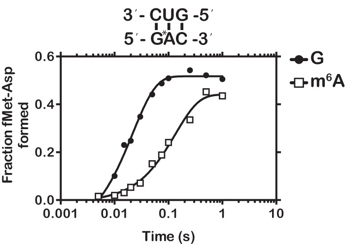 FIGURE 8.