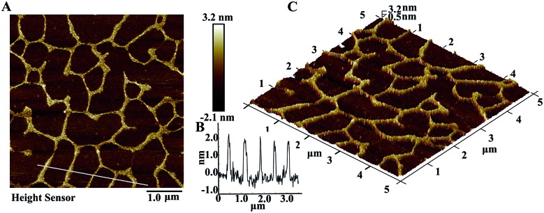 Fig. 3