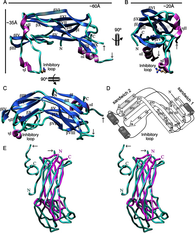 FIGURE 1.