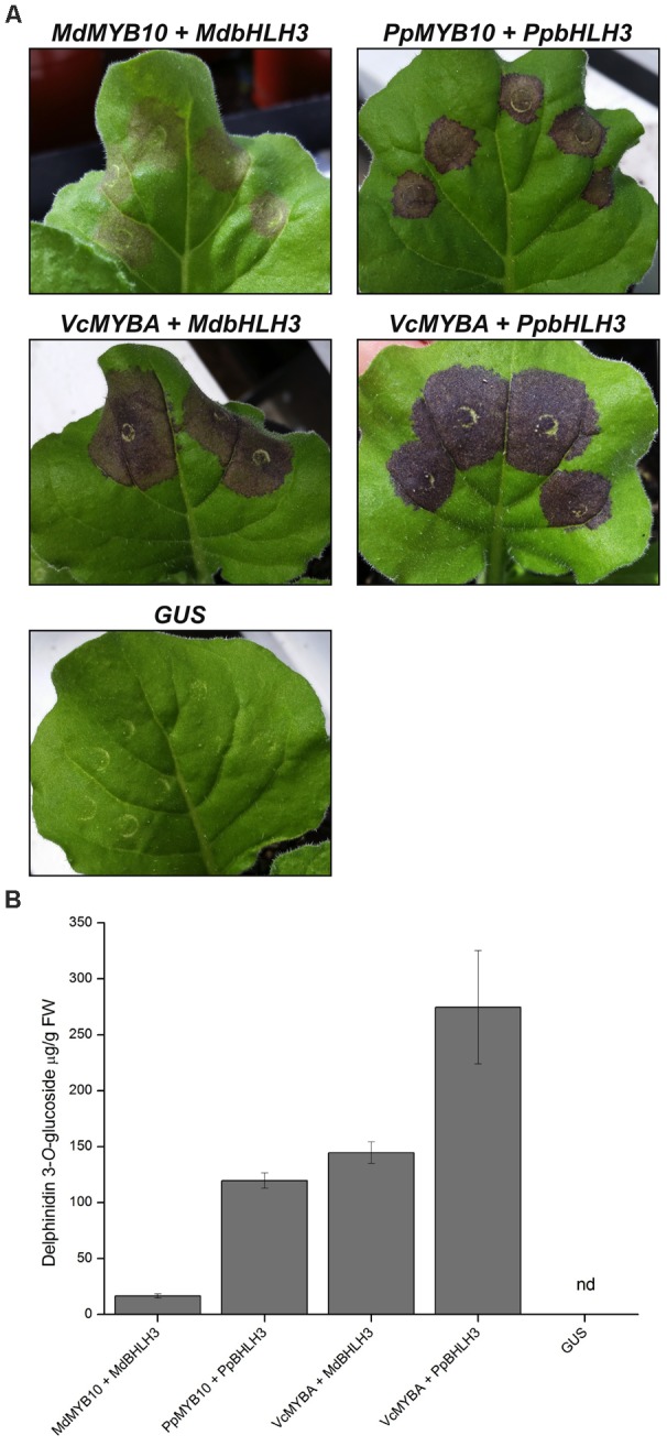 FIGURE 3