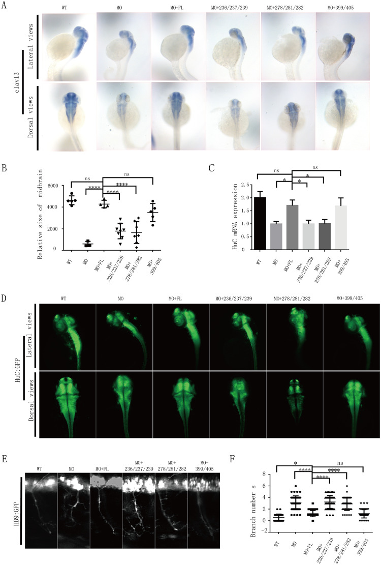 Fig 6