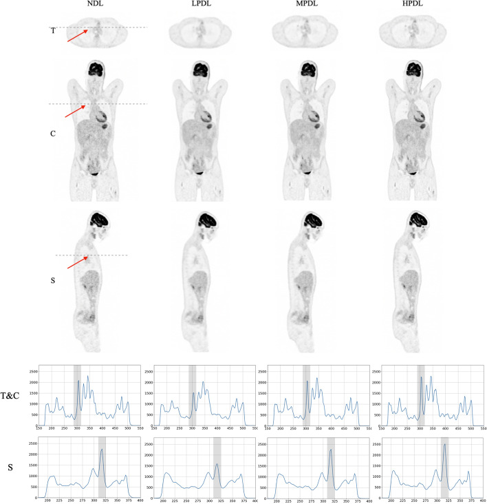 Fig. 8