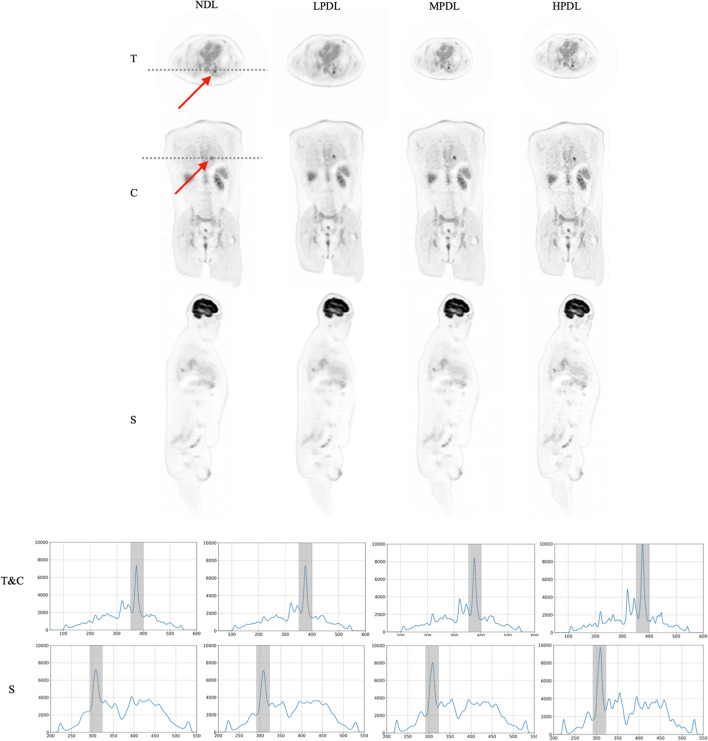 Fig. 9