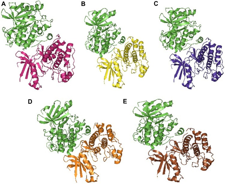 Figure 7