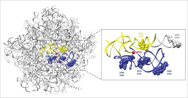 FIGURE 1.