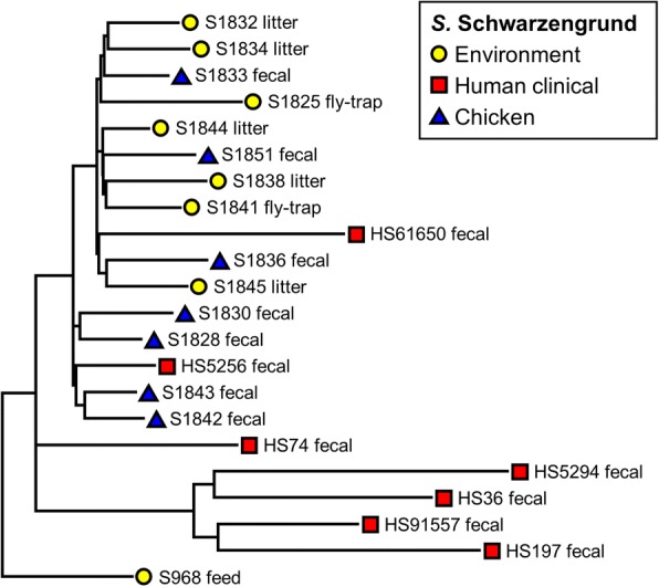 Fig. 4