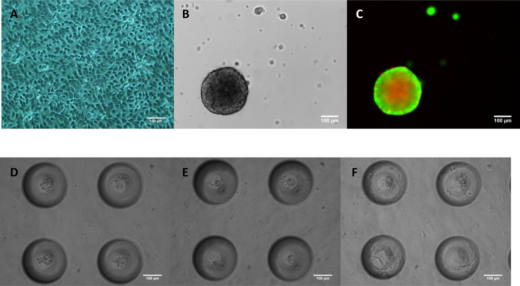 Fig.1