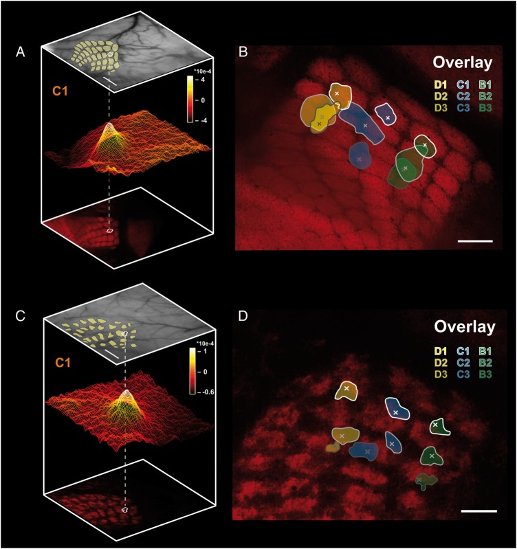 Figure 3.