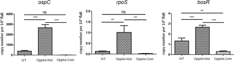 Fig 5.