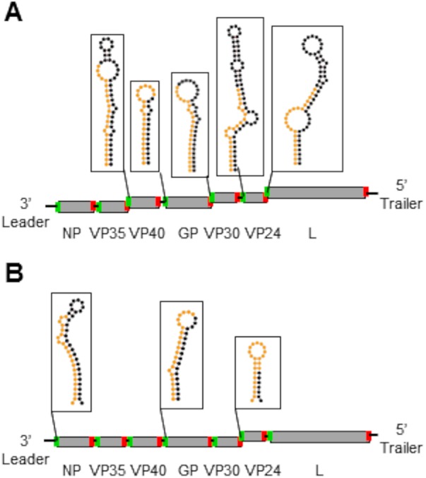 FIG 5