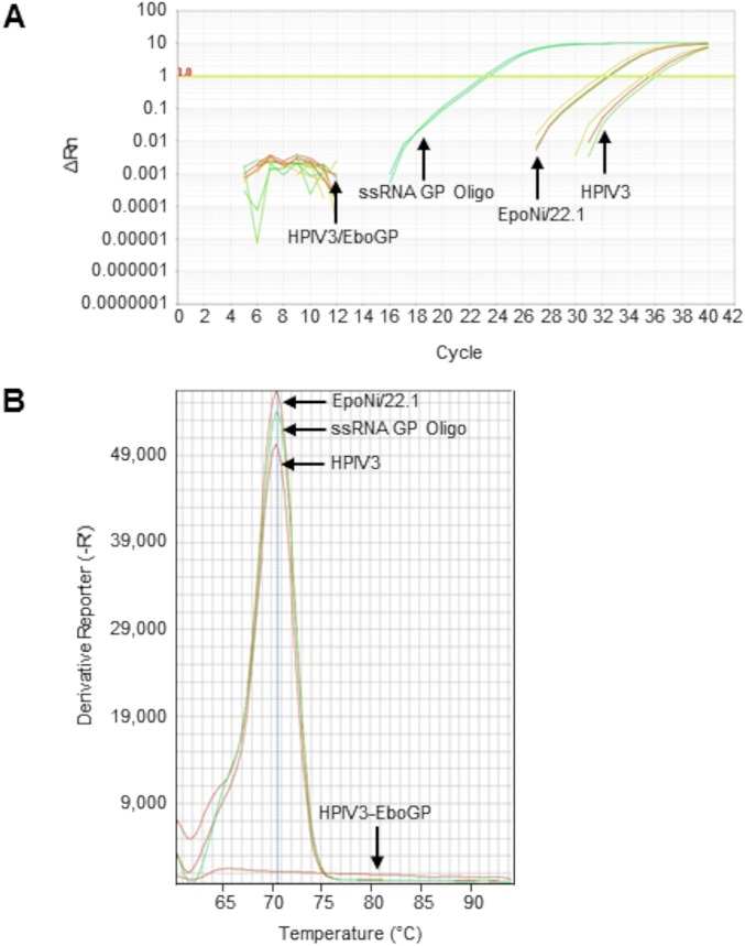 FIG 12