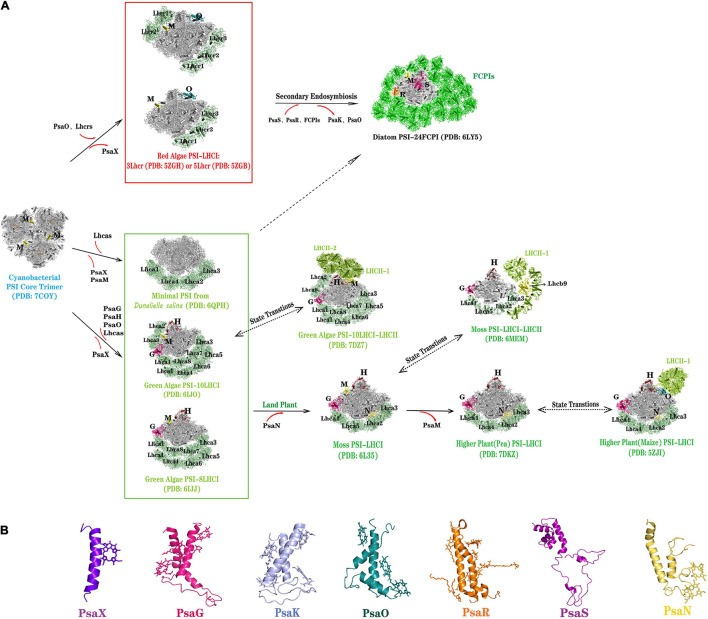 FIGURE 2