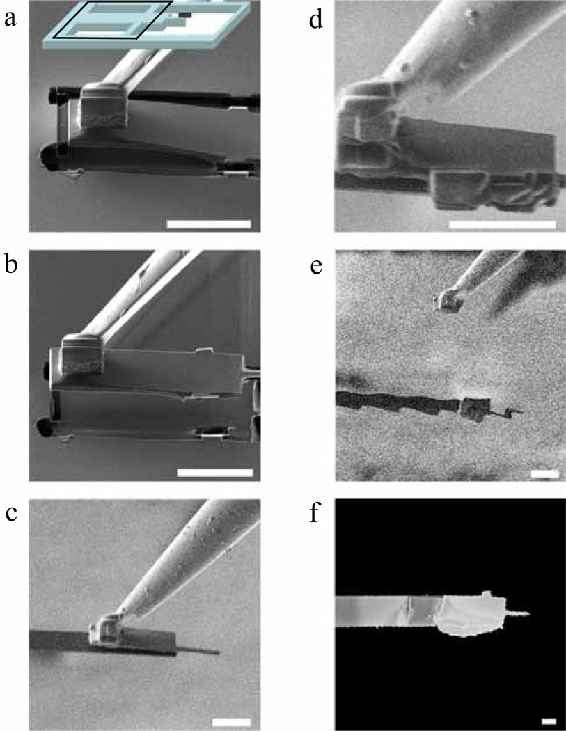 FIG. 3