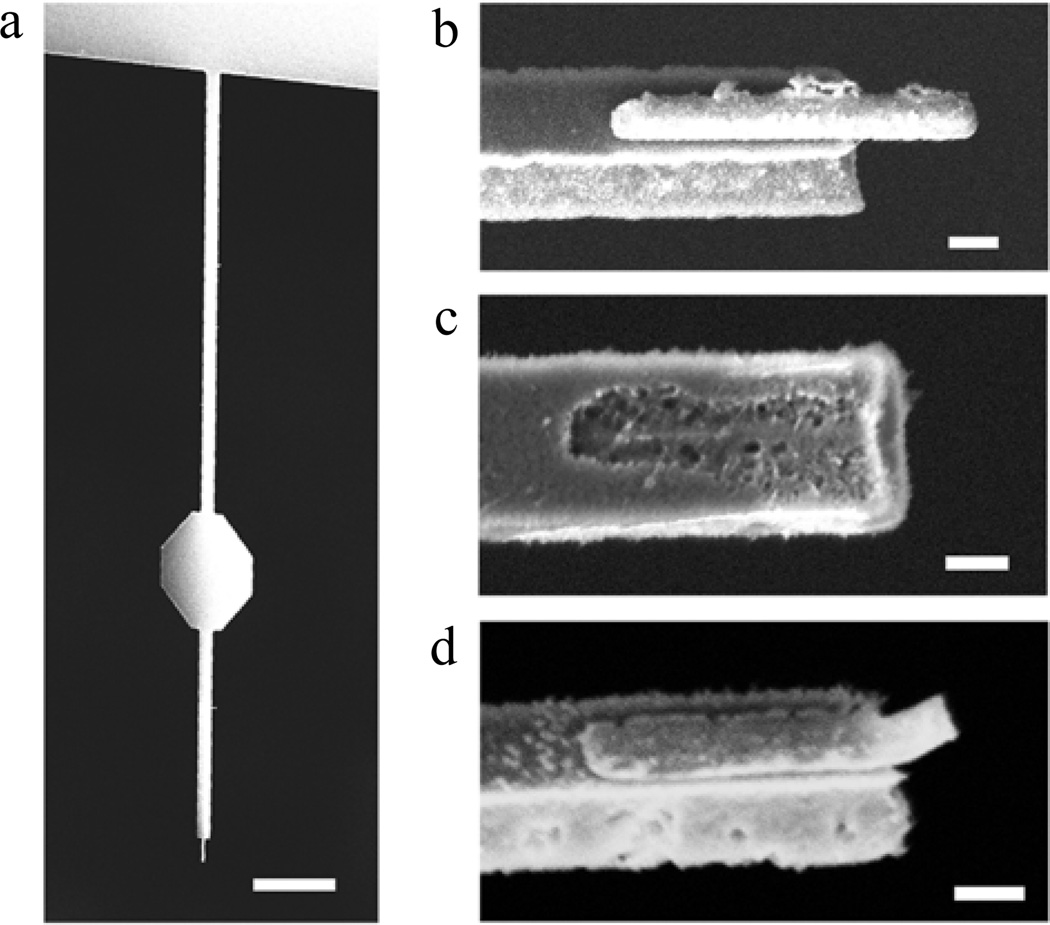 FIG. 1