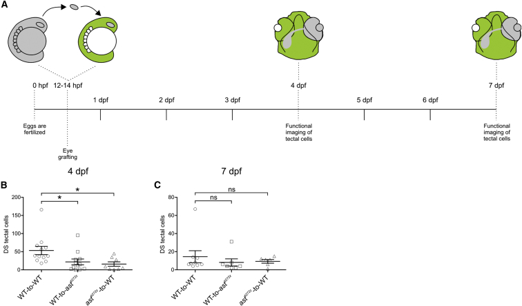 Figure 6