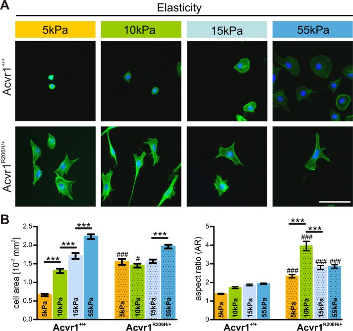 FIGURE 6: