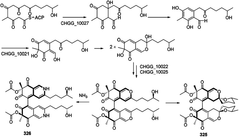 Scheme 17