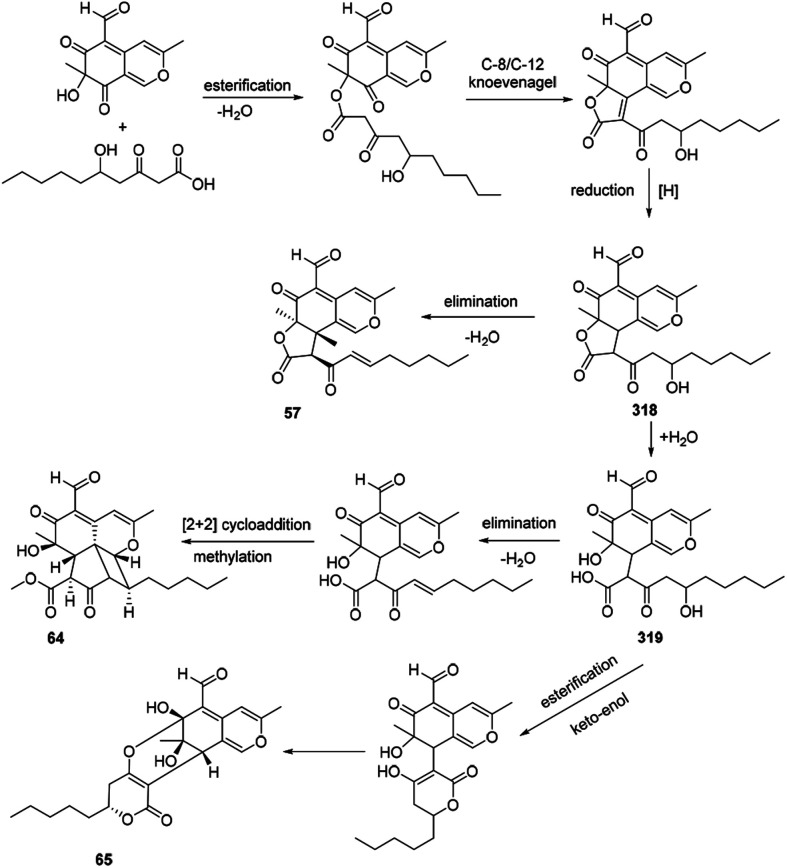 Scheme 14