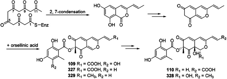 Scheme 18