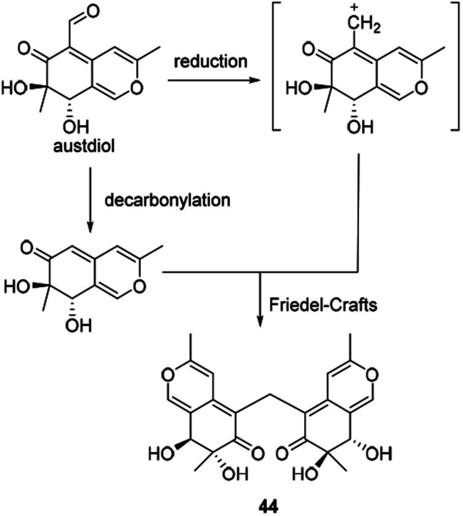 Scheme 6